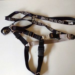 Harley Davidson small/medium dog leash and Easy Walk harness size medium